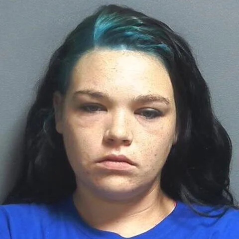 Driver accused of OVWI and a lot of inappropriate behavior