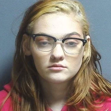 Linton woman accused of battery by can of chicken noodle soup