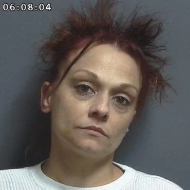 Officer reports a woman said her microwave was talking to her