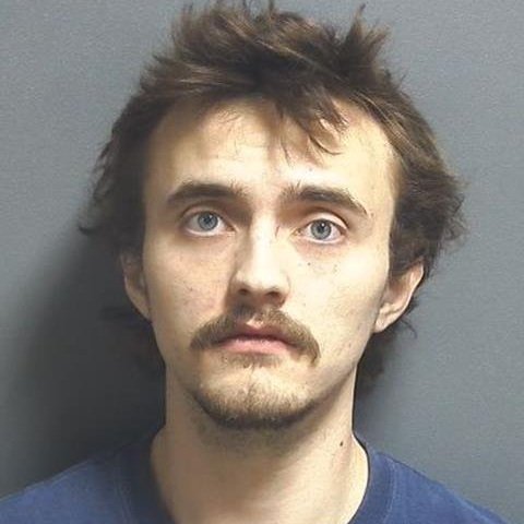 Psychedelic mushroom consumption leads to arrest for felony criminal recklessness