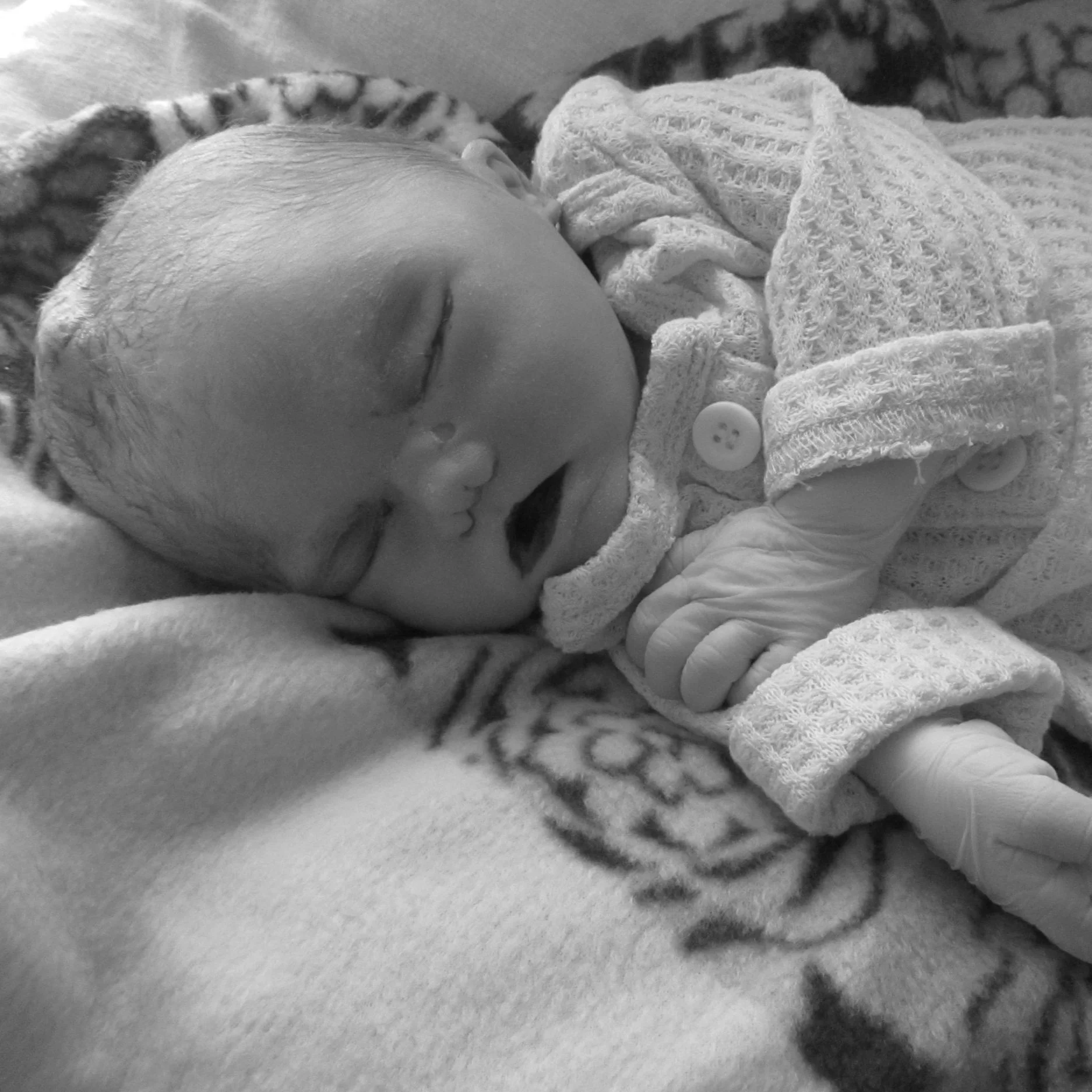 Campbell Logan Poindexter