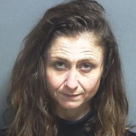 After crashing her Jeep, driver allegedly left the scene then ran from deputies