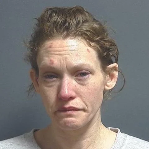 Linton woman charged with meth possession