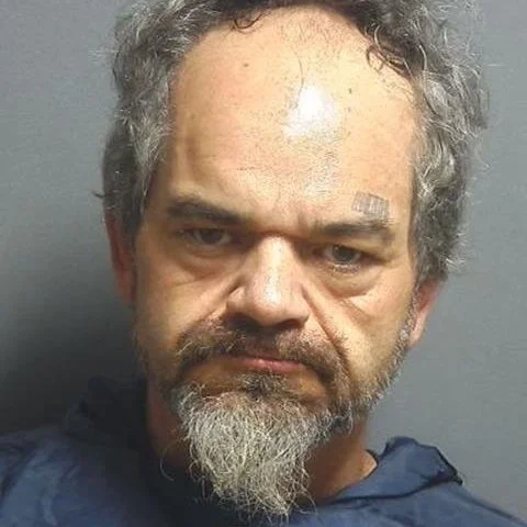 Deputies pursue man with gun through the woods yesterday morning