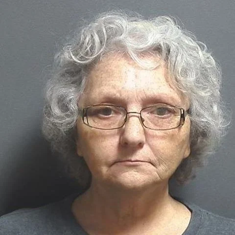 Linton woman accused of stabbing her son during altercation