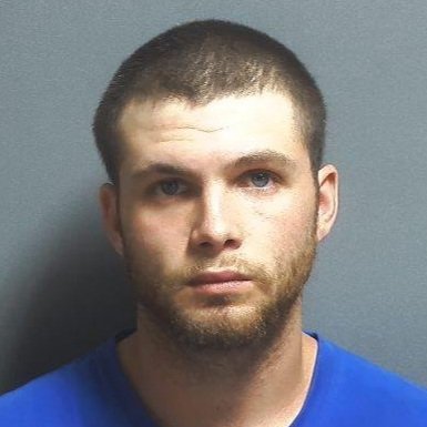 Man arrested on felony charges after domestic