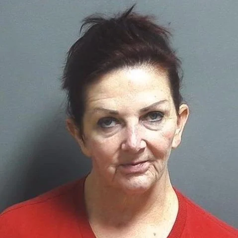 Newberry woman arrested this week for domestic battery 