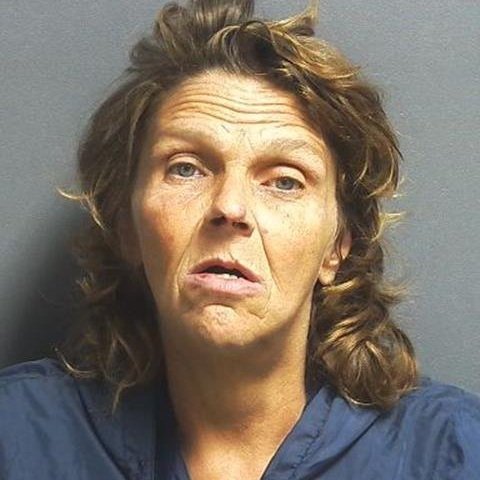 Stolen bicycle returned to owner, suspect arrested