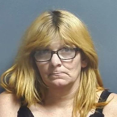 Woman arrested early Wednesday is facing felony drug charges