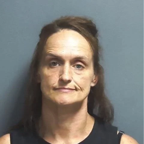 Woman accused of theft of a driver’s license