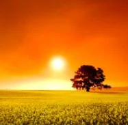 Larry Dean Martindale