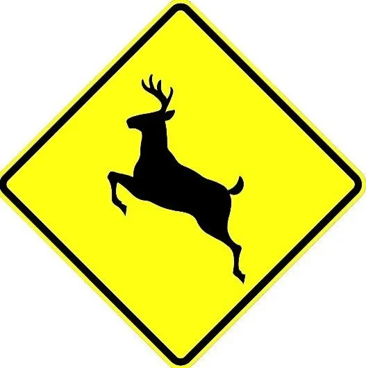 ISP provides safety tips for avoiding deer on roadway