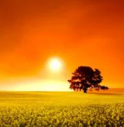 James William Sparks