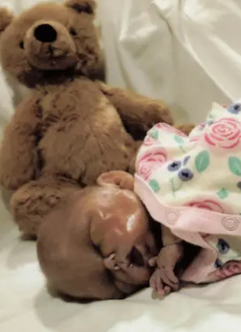 Oakley Lynn Marie Mason