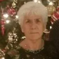 Cynthia Ann Johnson
