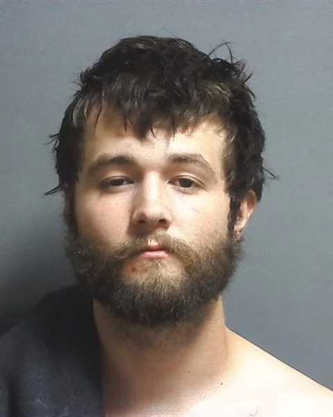 Springville man arrested on domestic battery charge