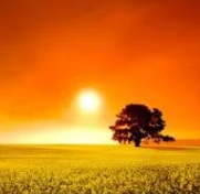 Gilbert “Gib” Ray Haywood