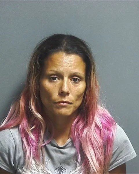 Women arrested on methamphetamine charge after Solsberry domestic dispute call