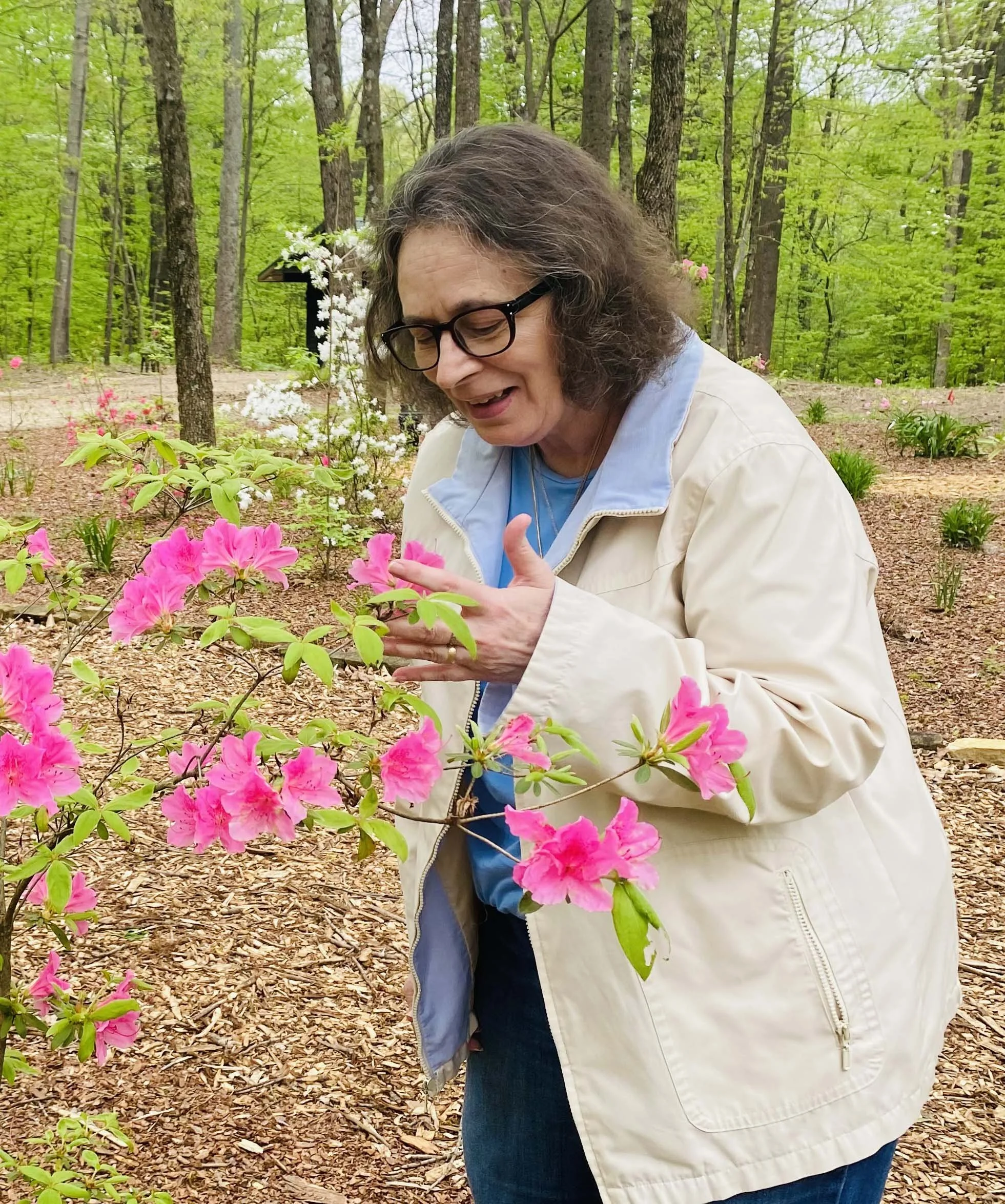 Tina L. Lamb
