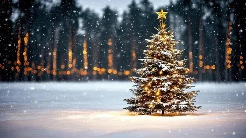 Tree-mendous Lights of Linton aims to restore Christmas magic at Humphreys Park