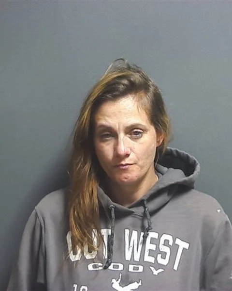 Martinsville woman arrested on methamphetamine charges following traffic stop in Greene County