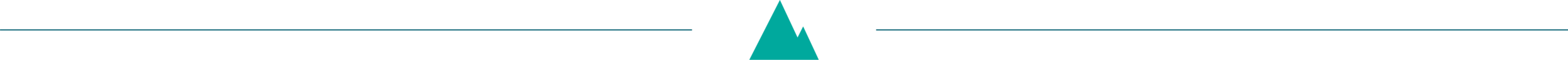 AdClub_WNC_mountain_divider_teal_B.png