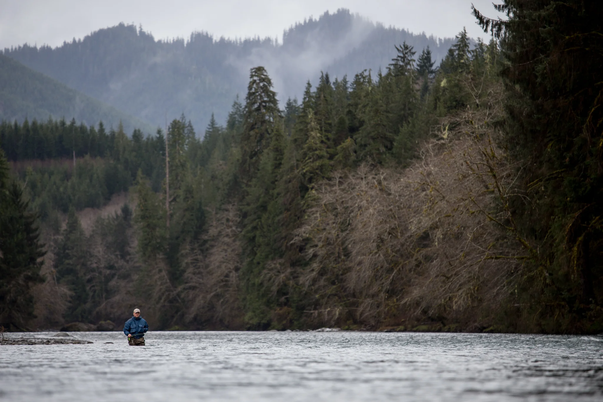 Fly fishing for steelhead on the Hoh River against the backdrop of Olympic National Park. photo Reid Curry.