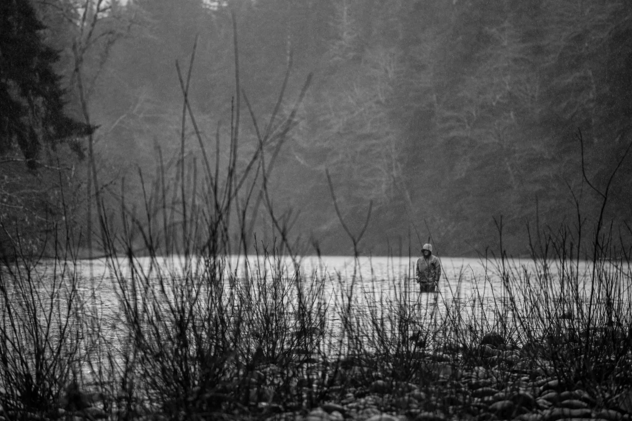 A cold winter morning on the Sol Duc River swinging flies for steelhead. photo Reid Curry.
