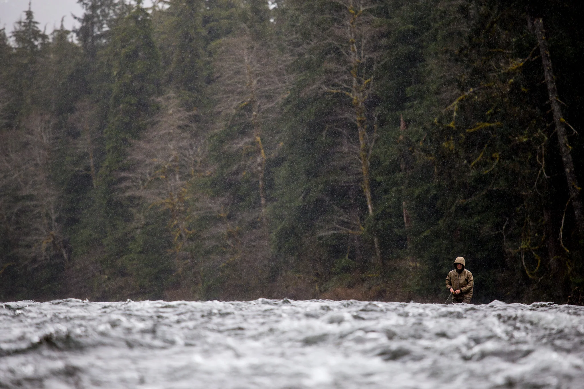 Swinging for steelhead in the temperate rainforests of Washington's Olympic Peninsula. photo Reid Curry