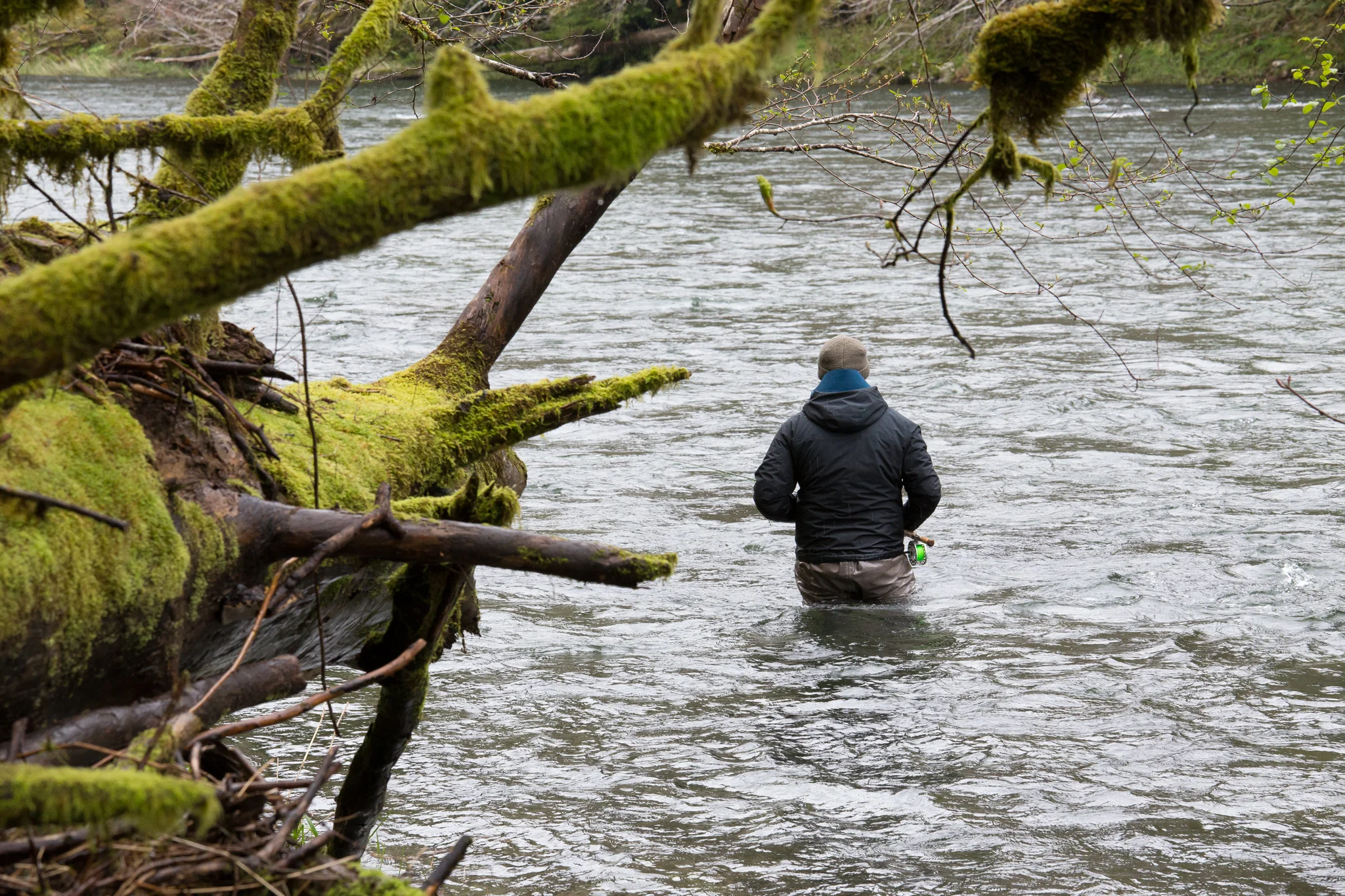 Winter Steelheading. photo Reid Curry.