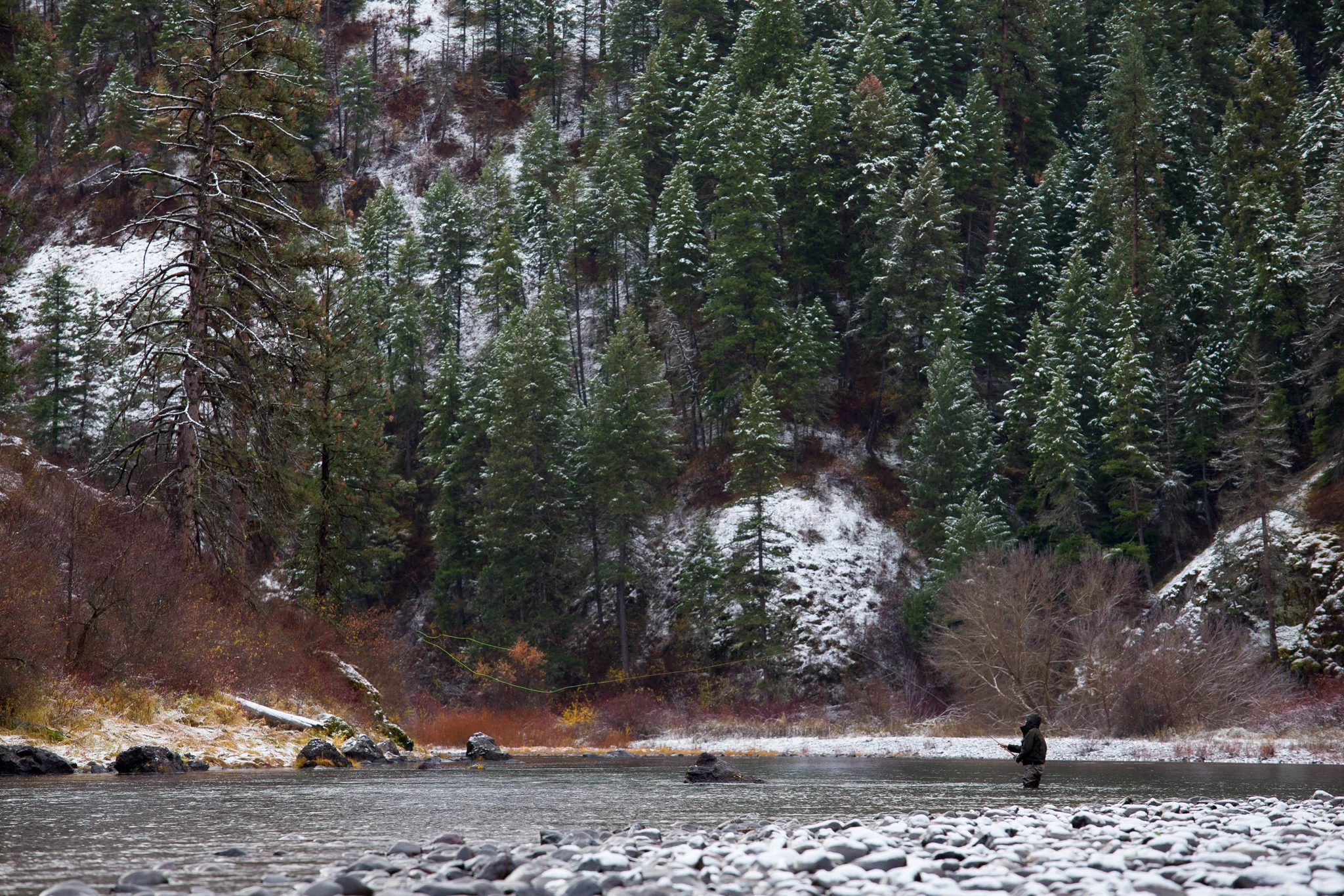 Spey Casting for Steelhead. photo Reid Curry.
