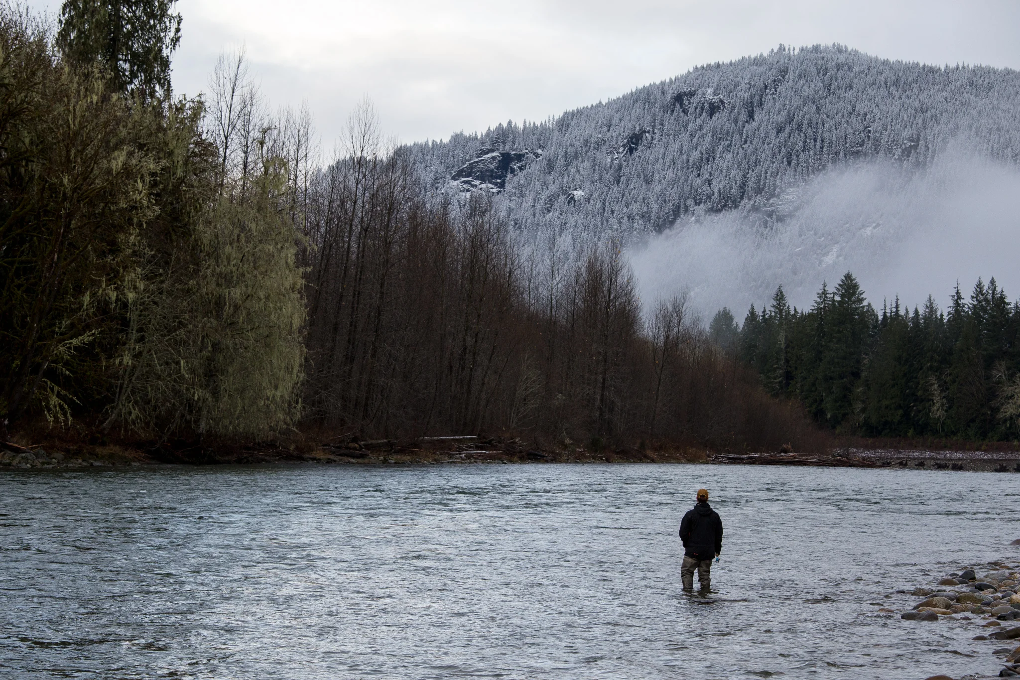 Washington Winter Steelhead Fly Fishing Guide. photo Reid Curry.