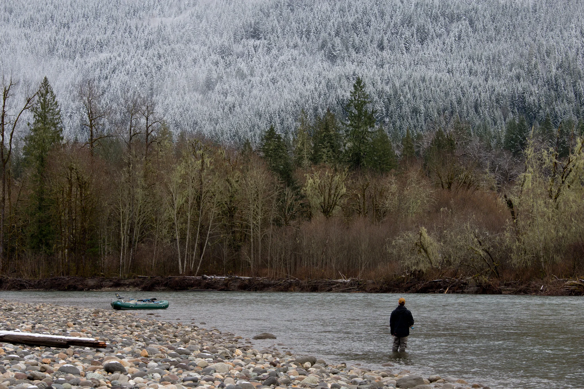 Winter Steelhead Fly Fishing Guide. photo Reid Curry.