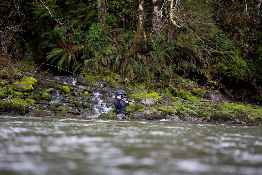 Olympic Peninsula Winter Steelhead Photo Journal. photo Reid Curry.