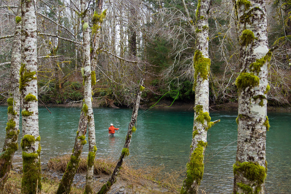 Olympic Peninsula Winter Steelhead Photo Journal. photo Reid Curry.