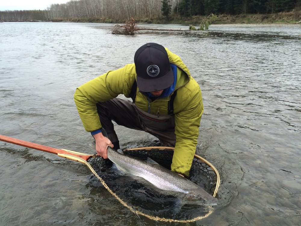 Olympic Peninsula Winter Steelhead Photo Journal. photo Reid Curry.