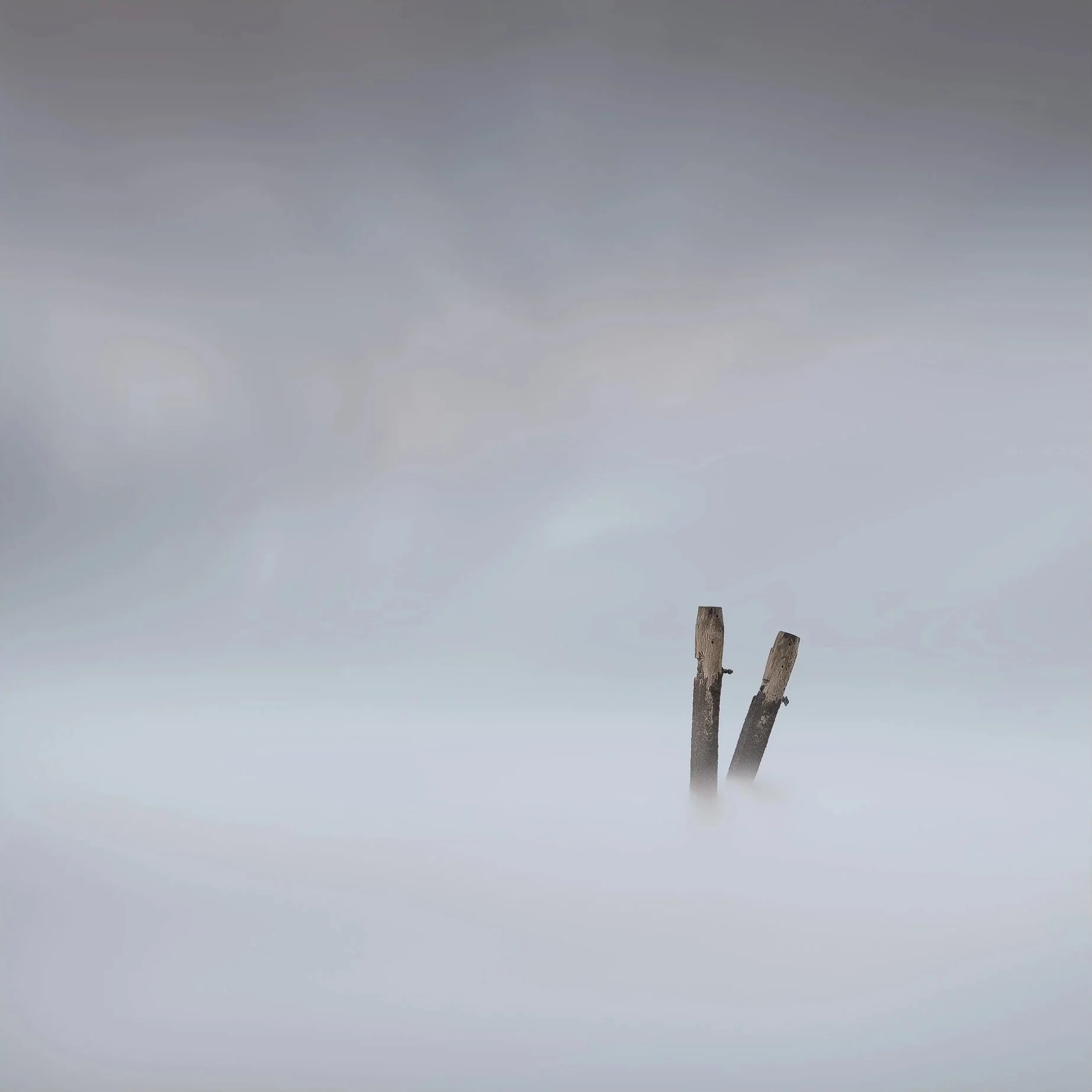 Peekaboo.jpg