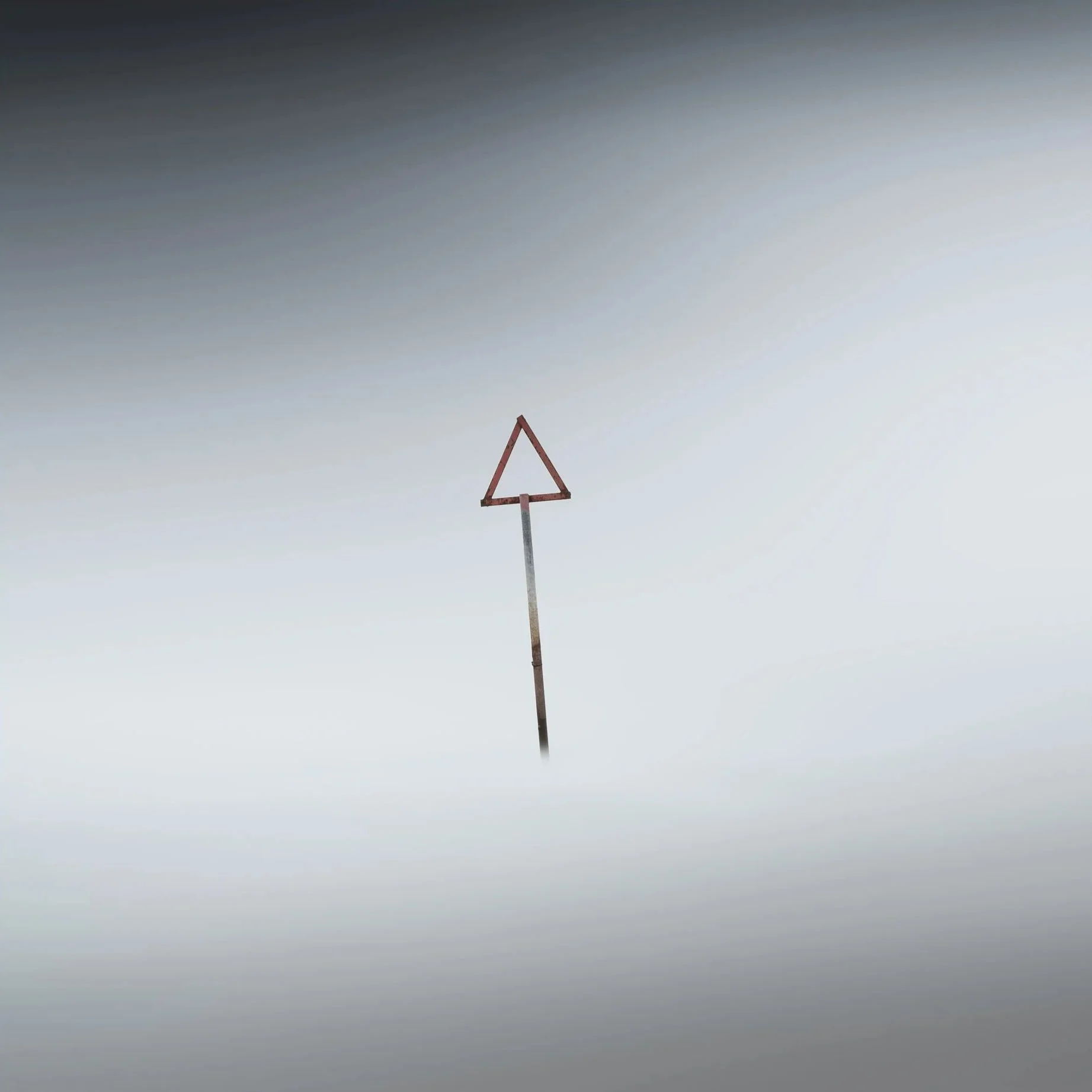 Pointer.jpg