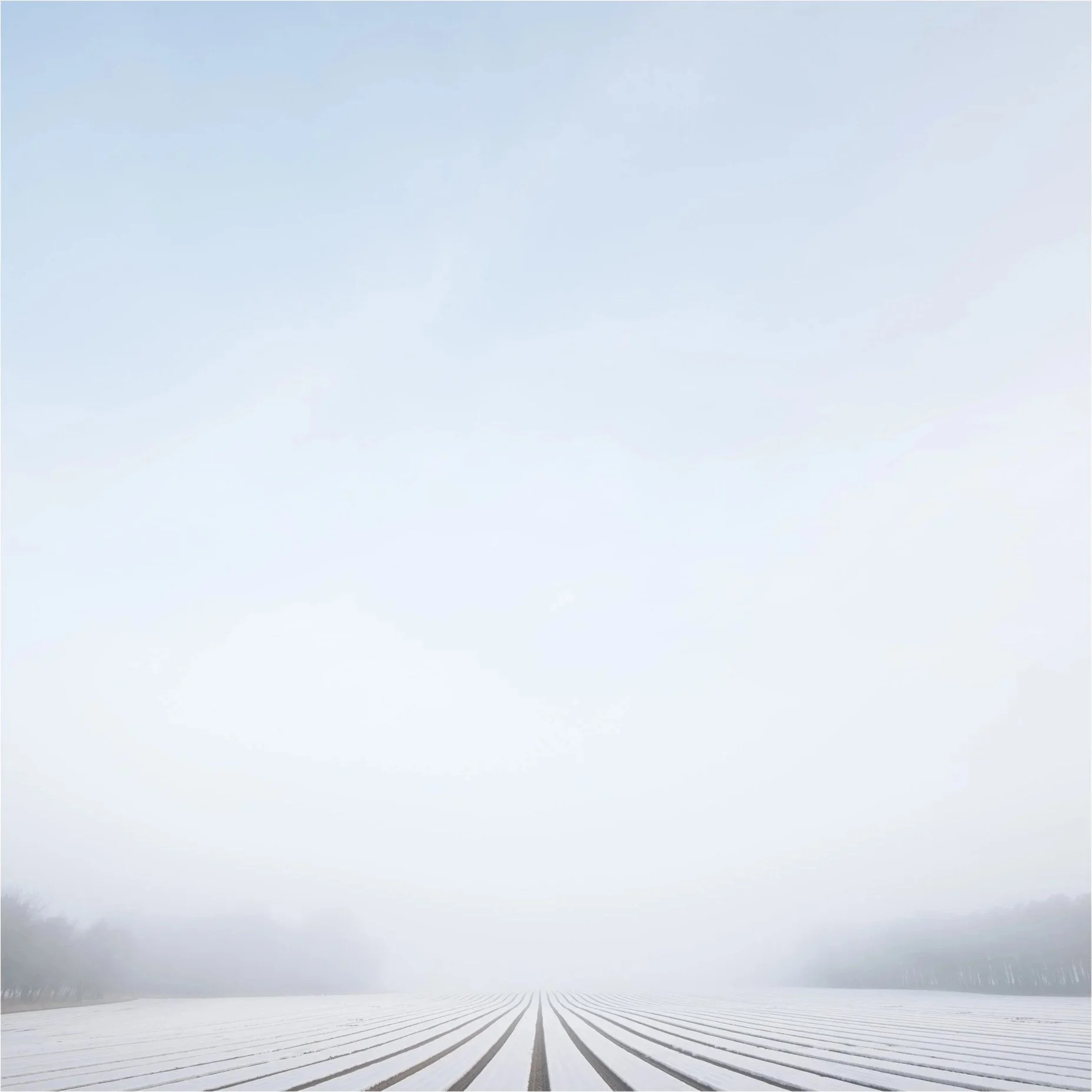 Plastic-Landscape.jpg
