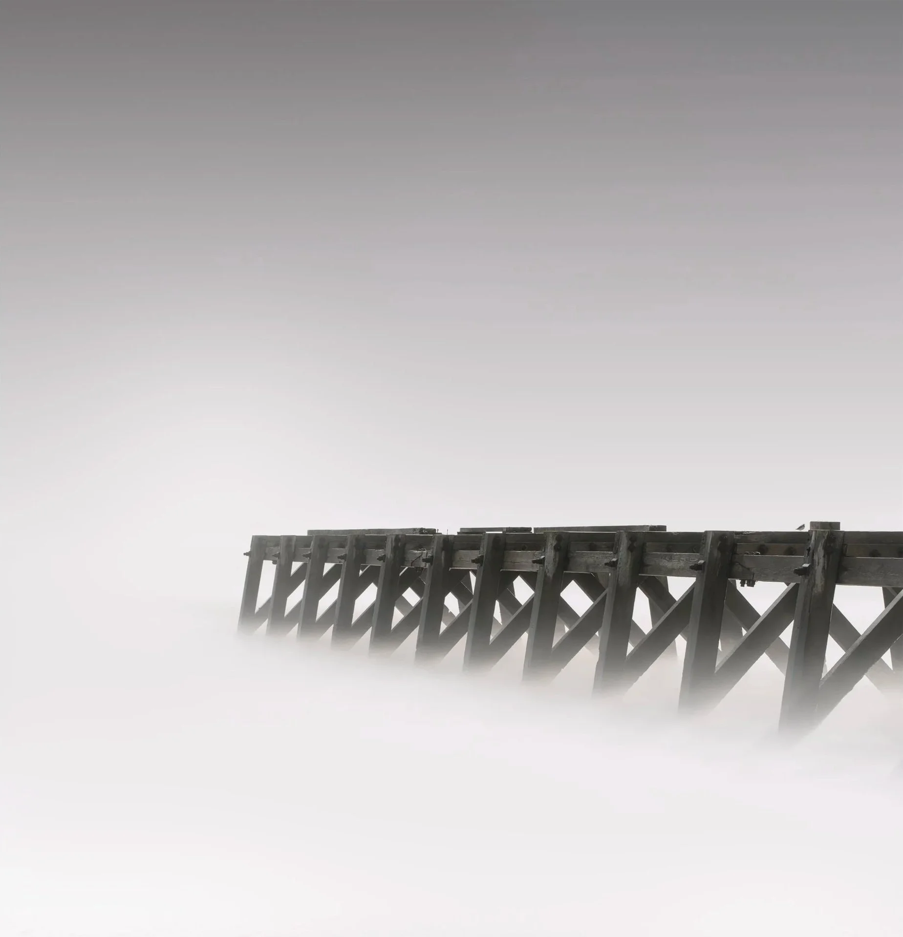 Criss+Cross.jpg