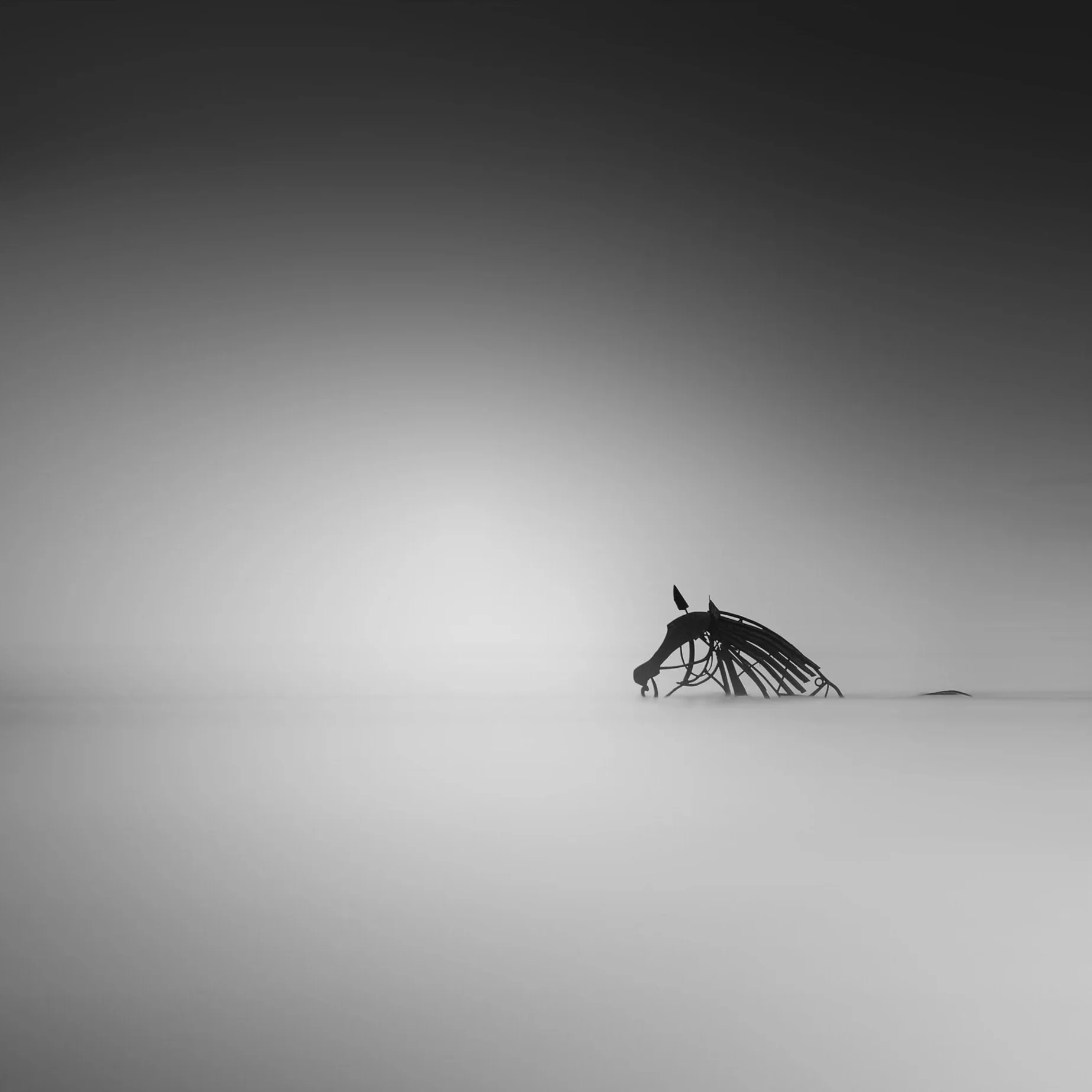 Head-above-Water.jpg