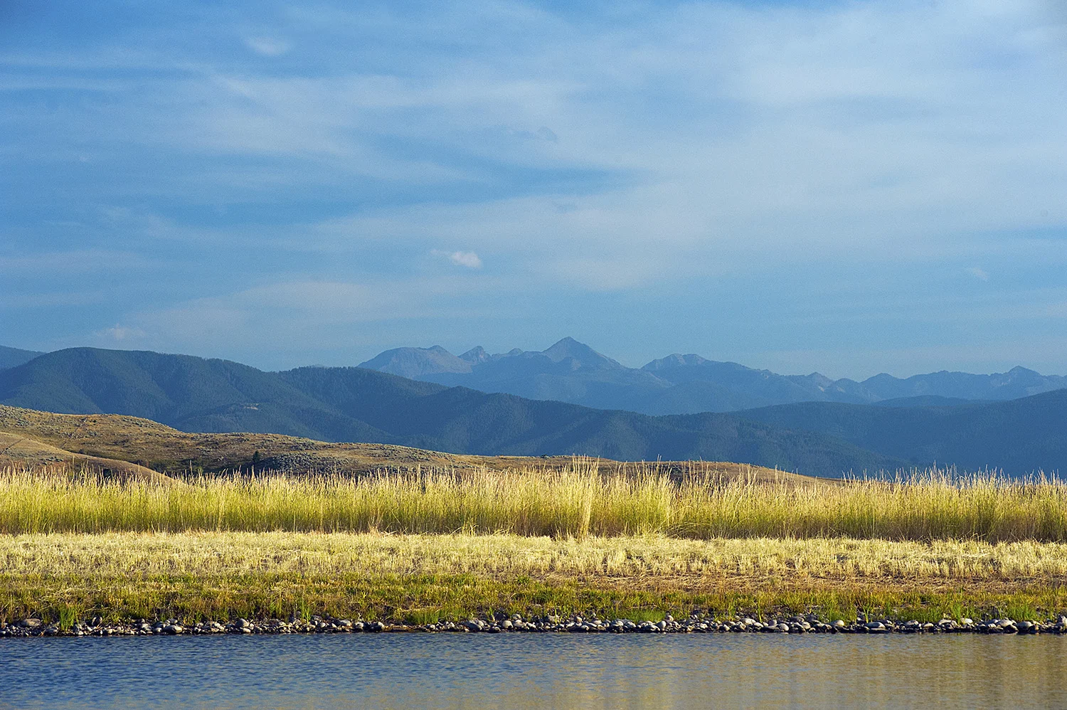 009-MTe 130814-146 - North East Bozeman - Homestead.jpg