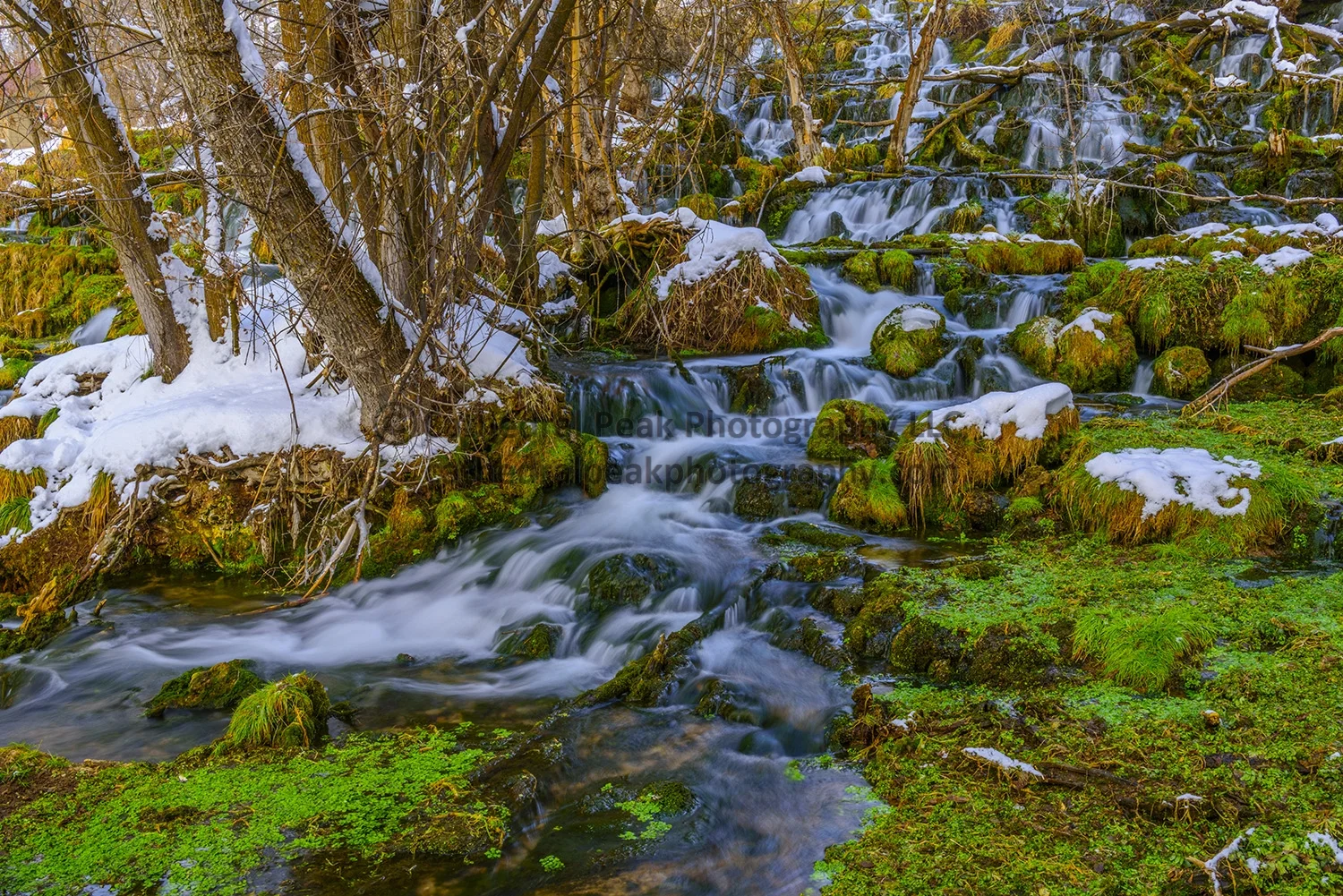 DSC_2186_watermark.jpg