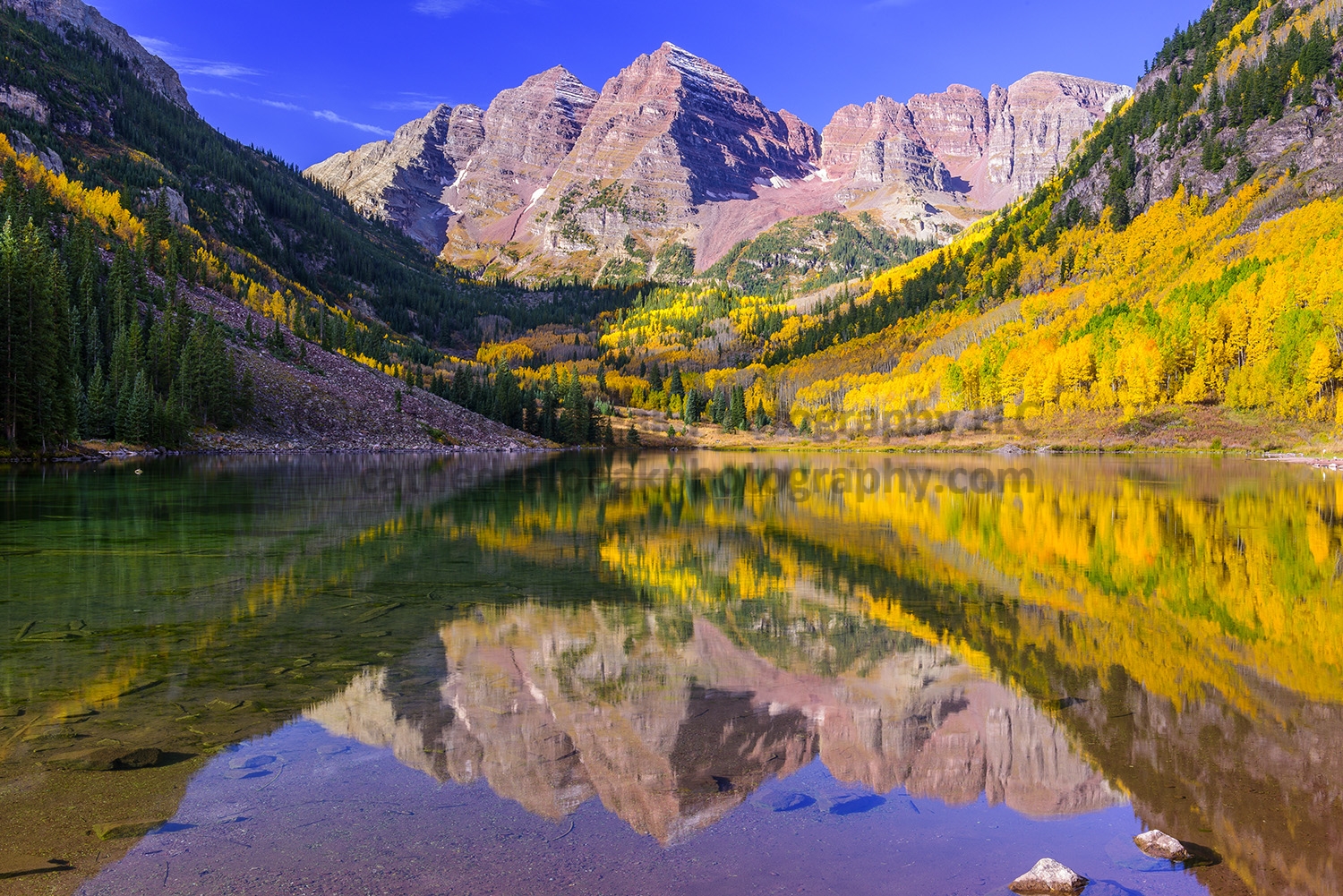 DSC_1179_watermark.jpg