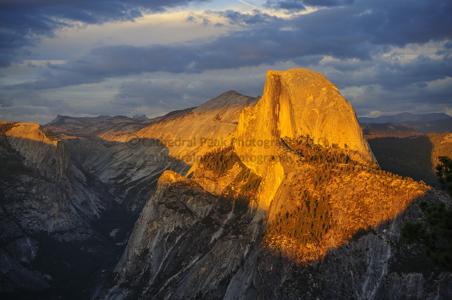 DSC_0476_watermark.jpg