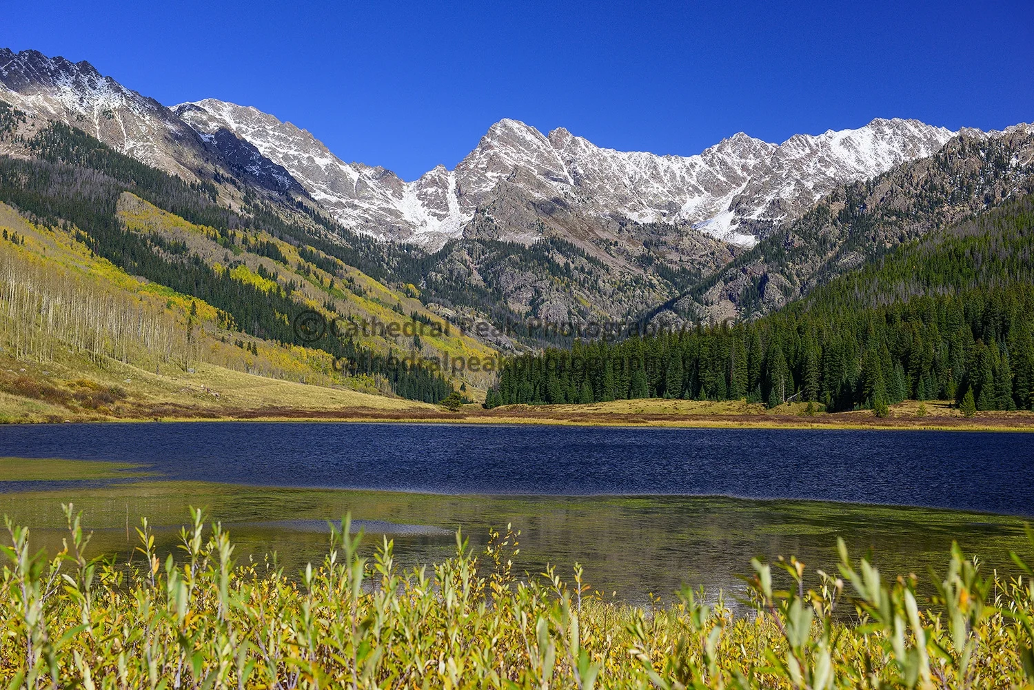 DSC_0256_watermark.jpg