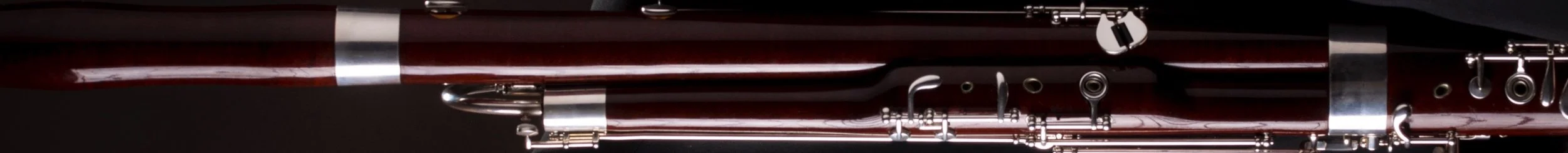 Bassoon Crop 2 3.jpg