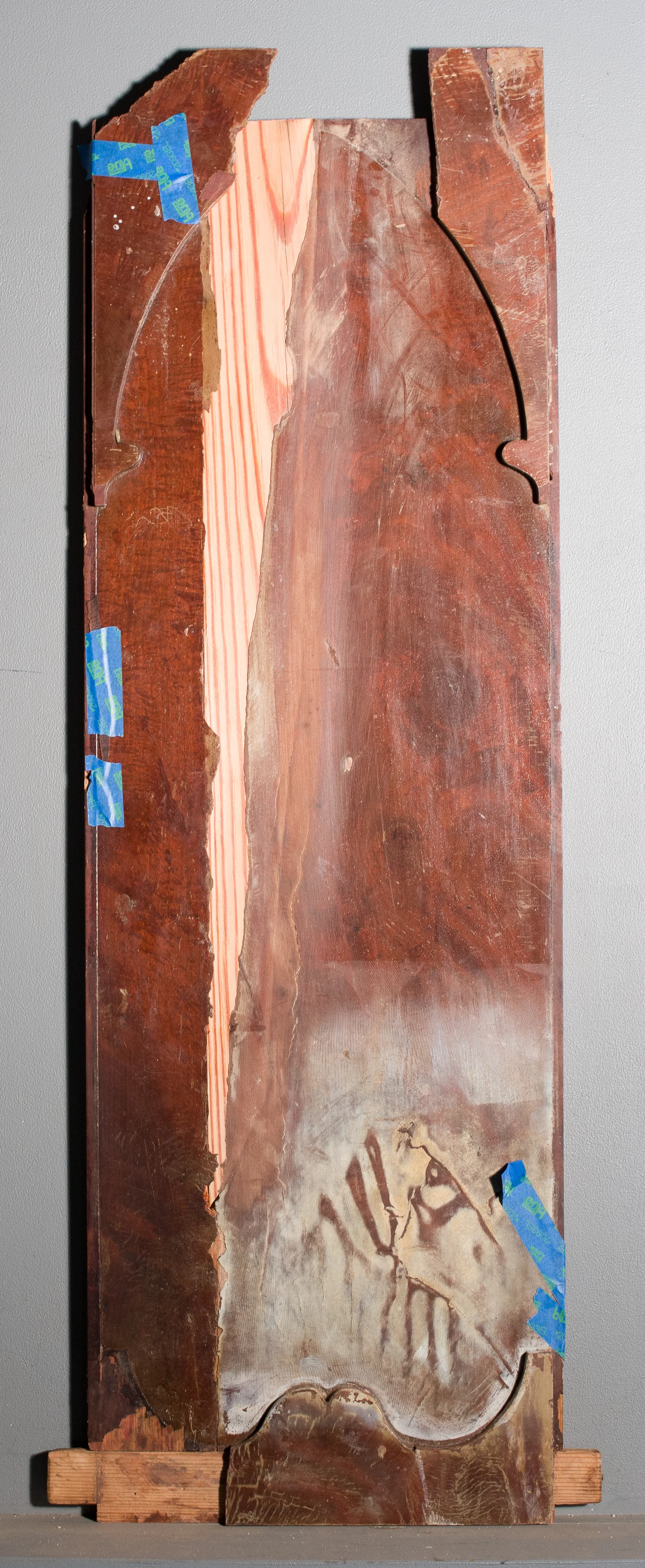 Wedge-shaped, long leaf pine restoration