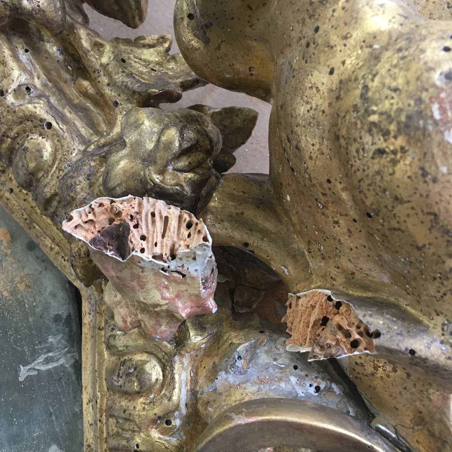 Insect damage. Early 18th century gilded looking glass French or Italian. Impressive frass. #hellerconservationservices #historicpreservation