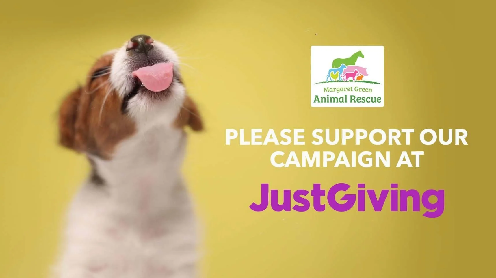 Holt Recruitment Group "Row Around Great Britain" Charity Campaign to support Margaret Green Animal Rescue